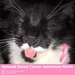 Meet your Posher, D'lane